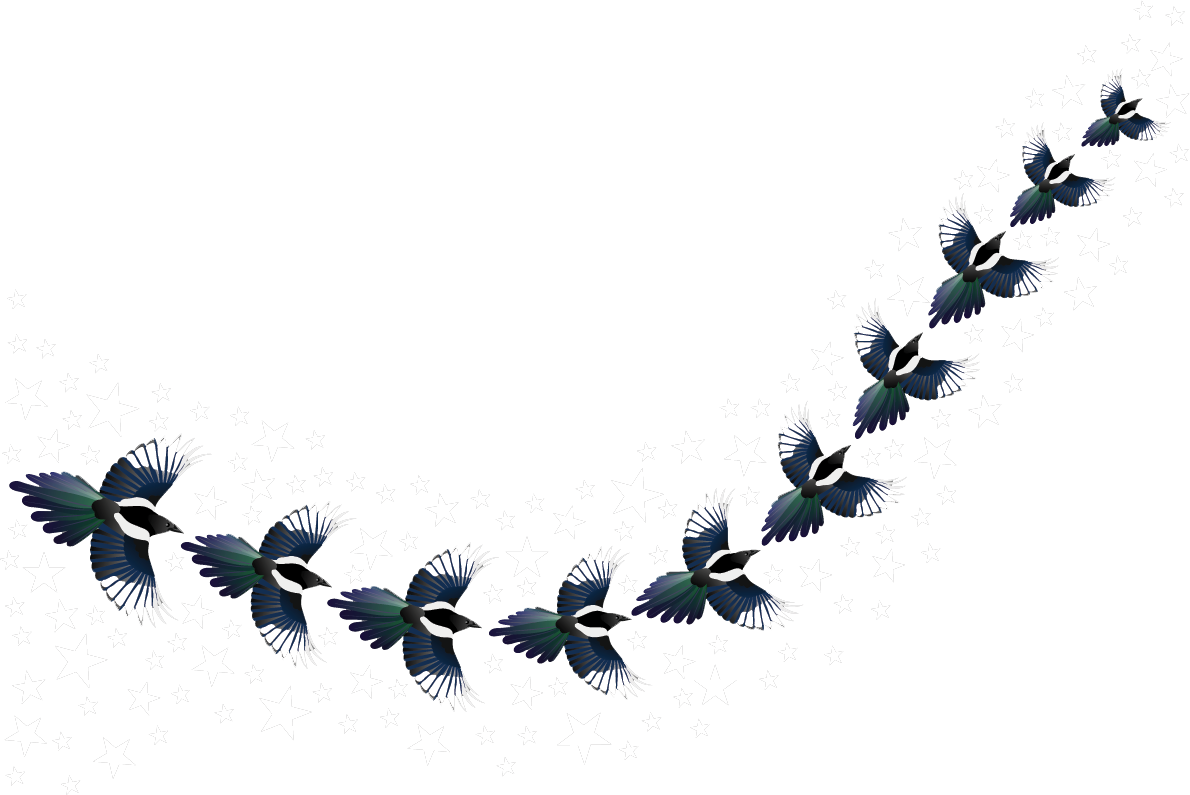 Magpies-and-Stars